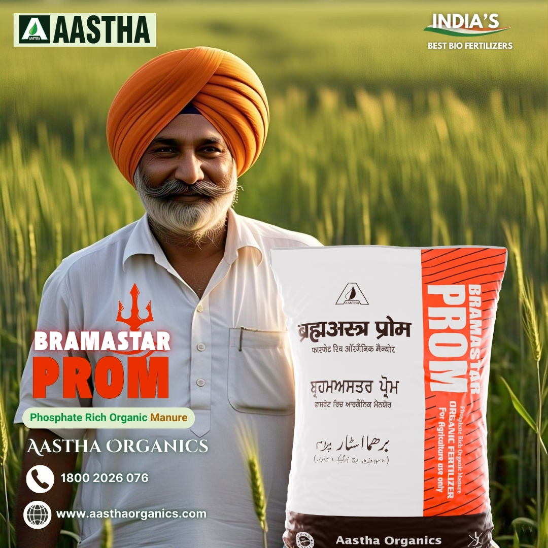 Best Bio Fertilizers of India Bramastra PROM